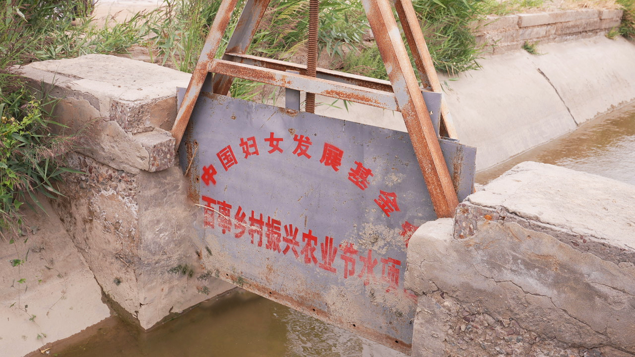 C4698T01.jpg