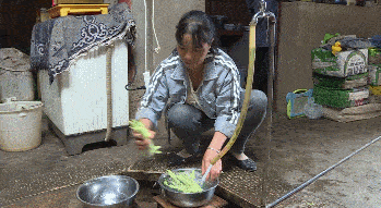 山区群众3.png