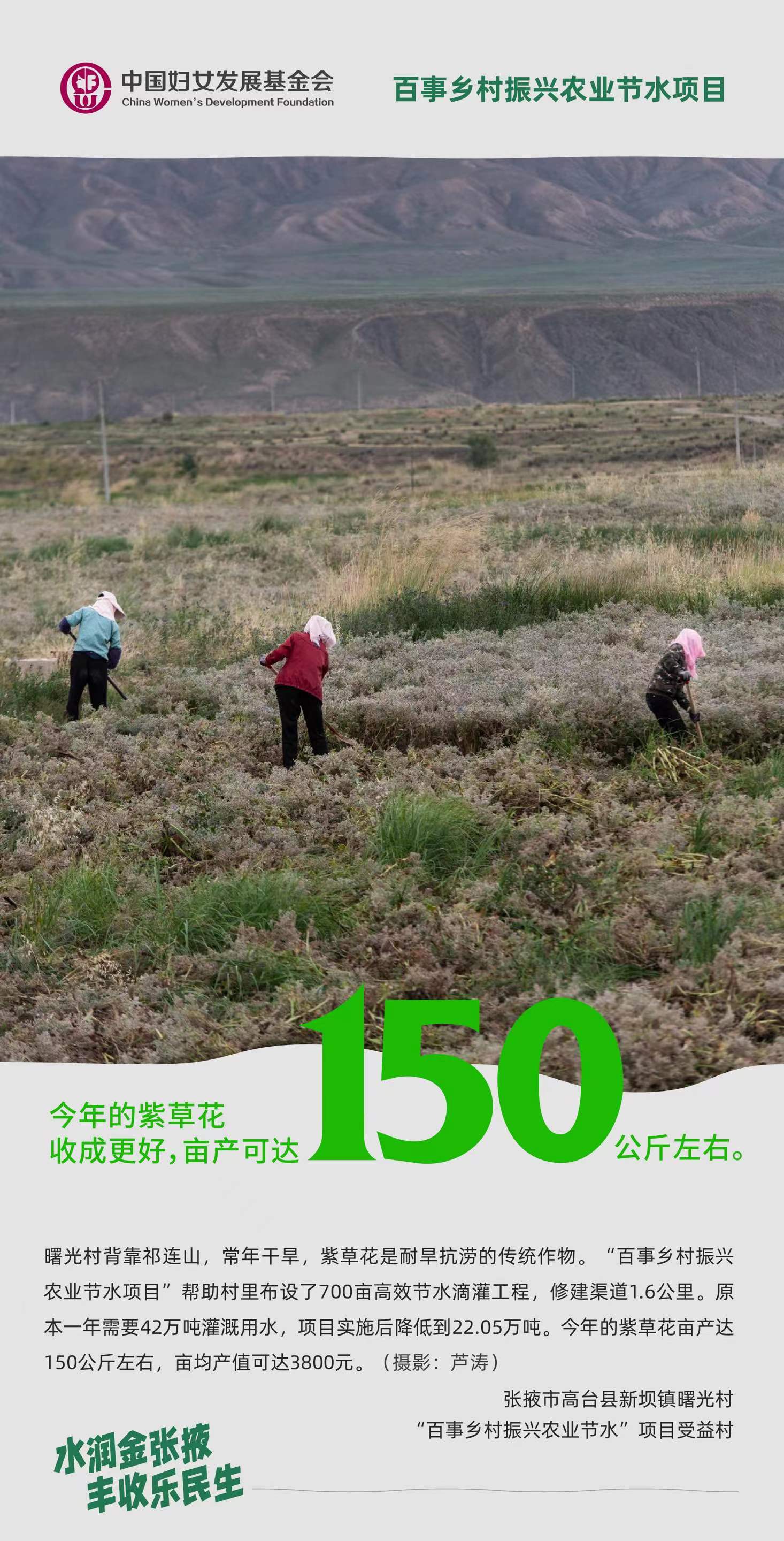700 - 副本.jpg