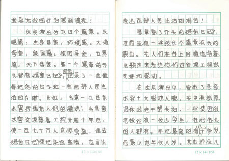 心灵的震撼：一个11岁小朋友的公益演出观后感