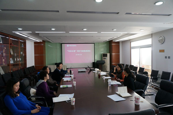 Representatives of the China Women's Development Foundation (CWDF) and the National Center for Rural Water Supply Technical Guidance of the Chinese Center for Disease Control and Prevention discuss their cooperation on the Water Cellar for Mothers Project at a forum in Beijing on December 19. 