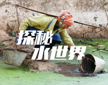 “母亲水窖”启动世界水日活动