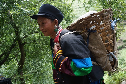 Water Cellar Project, JD to Solve Water Problems in Sichuan's Liangshan