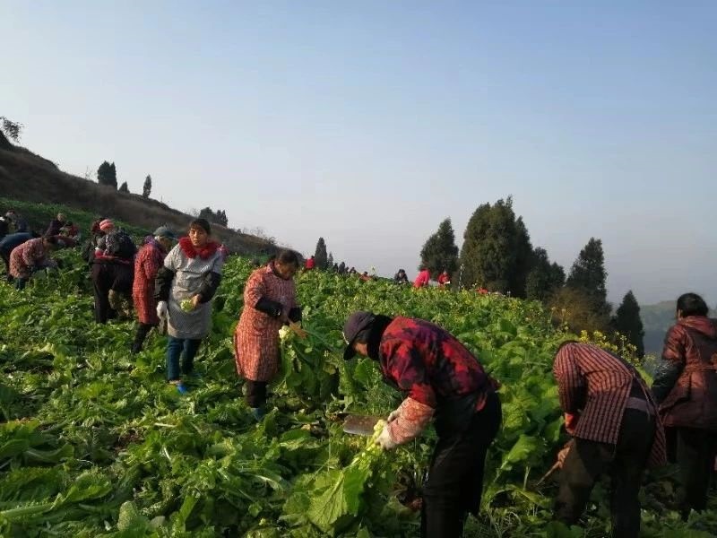 微信图片_20191210143522.jpg